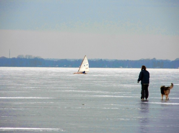 Steinhuder Meer  019.jpg